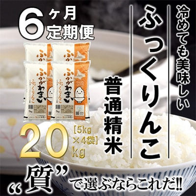 【毎月定期便】北海道深川産ふっくりんこ20kg(5kg×4)(普通精米)全6回【4000852】