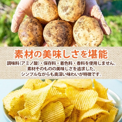 【3ヵ月毎定期便】純国産 ポテトチップス うすしお味 12袋全2回【4083800】