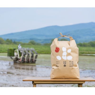 北海道産 特別栽培米ゆめぴりか 玄米5kg×2袋【1439012】