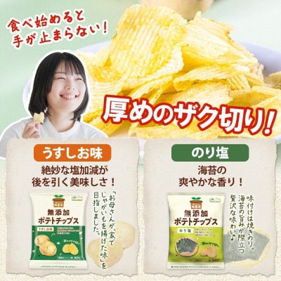 純国産 ポテトチップス うすしお味 のり塩 各12袋【1721192】