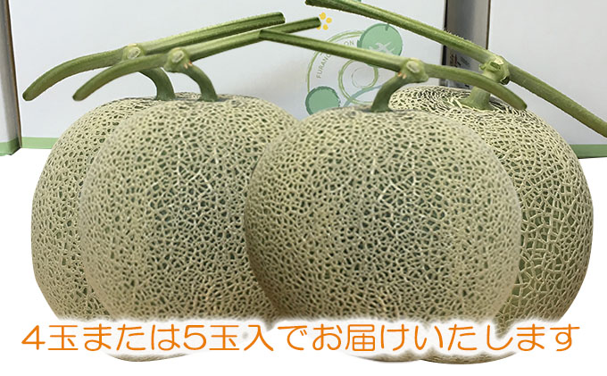 ”特別栽培” 富良野産メロン 北添花 （赤肉メロン4～5玉入 約8kg）【植崎ファーム】メロン フルーツ 果物 新鮮 甘い 贈り物 ギフト 道産 ジューシー おやつ ふらの ブランド 夏 