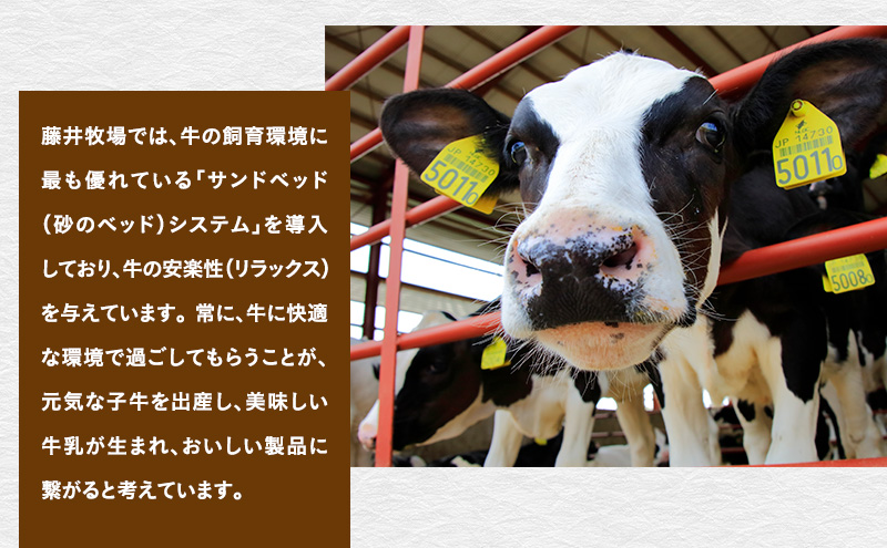 富良野　藤井牧場　4種のチーズセット