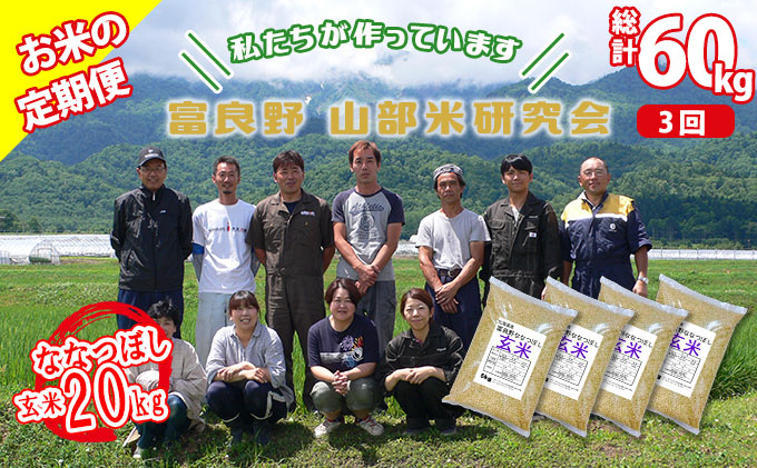 ◆3ヶ月定期便◆ 富良野 山部米研究会【 ななつぼし 】玄米 5kg×4袋（20kg）