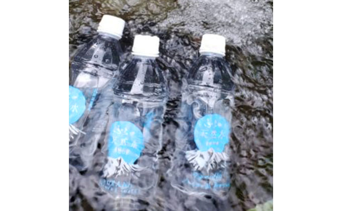 ふらの天然水【原始の泉】500ml×24本入 (水 新鮮 便利 天然 ペットボトル 北海道 送料無料 道産 富良野市 ふらの)