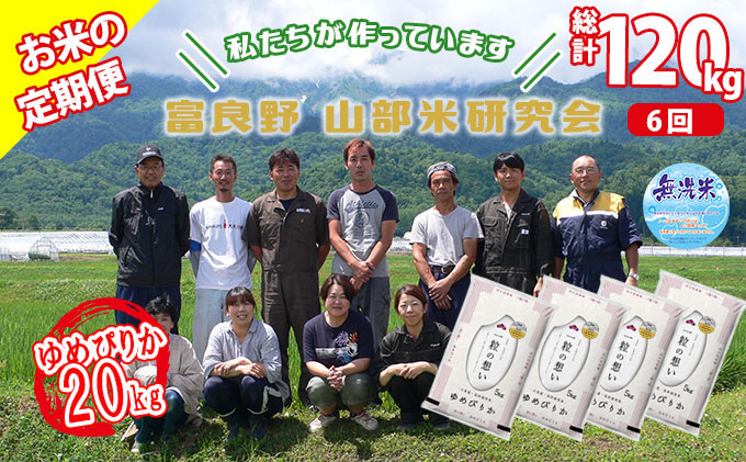 ◆6ヶ月定期便◆ 富良野 山部米研究会【 ゆめぴりか 】無洗米  5kg×4袋（20kg）