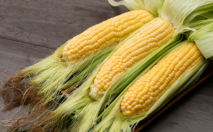 【2026年夏発送】北海道 富良野産 生で食べられる とうもろこし【恵味(めぐみ)】 10本 コーン