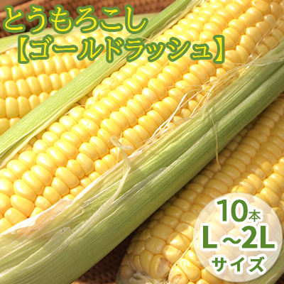 【2025年8月～発送】北海道 富良野産 とうもろこし ≪ゴールドラッシュ≫ L～2Lサイズ 10本 沖縄 離島不可 (鷲見農園) とうもろこし とうきび コーン 野菜 新鮮 甘い ジューシー 贈り物 ギフト 道産 直送 ふらの