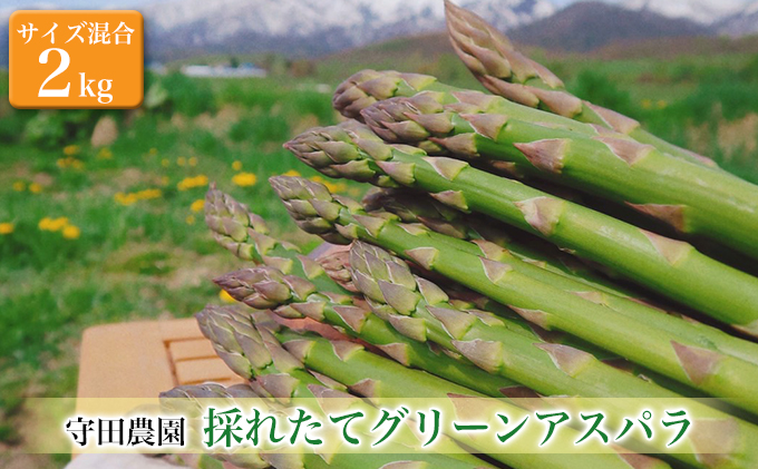 北海道ふらの【守田農園】グリーンアスパラガス約2kg（サイズ混合）|JALふるさと納税|JALのマイルがたまるふるさと納税サイト