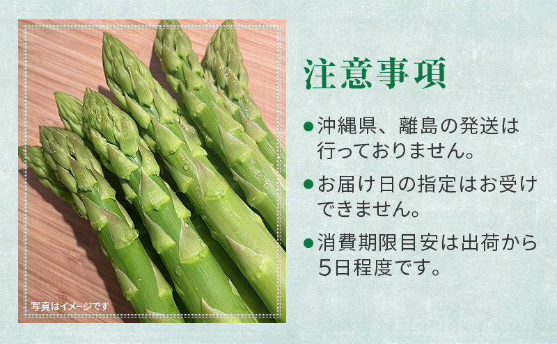 ［武田農園とれたて直送］2027年春～発送 グリーンアスパラ 2L 1kg やわらかくて抜群にあまい！北海道 富良野産 (アスパラガス アスパラ 野菜 新鮮 産地直送 先行予約 限定)