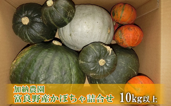 加納農園　富良野産かぼちゃ詰合せ10kg以上【JAS認証　有機栽培】