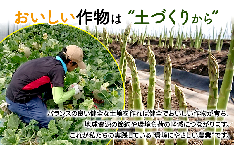 【2025年4月上旬より発送】北海道 富良野産 グリーンアスパラガス S～2Lサイズ 無選別品 約2kg (松本農園) 野菜 新鮮 直送 朝採り アスパラガス 道産 北海道 ふらの 