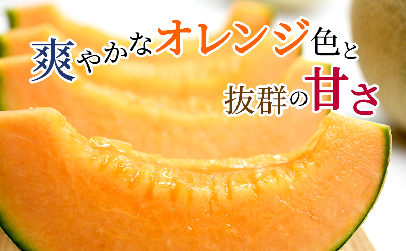 【2025年6月下旬より発送】北海道 富良野 赤肉 メロン『厳選』大玉 2玉 約1.8kg以上×2玉 (松本農園) メロン フルーツ 果物 新鮮 甘い 贈り物 ギフト 道産 ジューシー おやつ ふらの ブランド 夏 