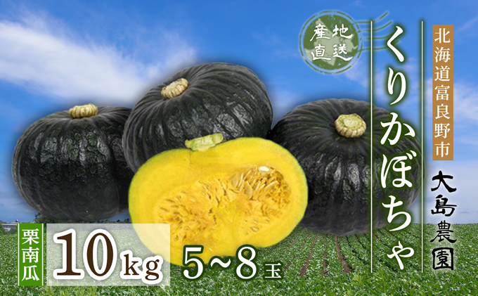 『大島農園』採れたて！くりかぼちゃ【甘うま】5～8個　北海道富良野市