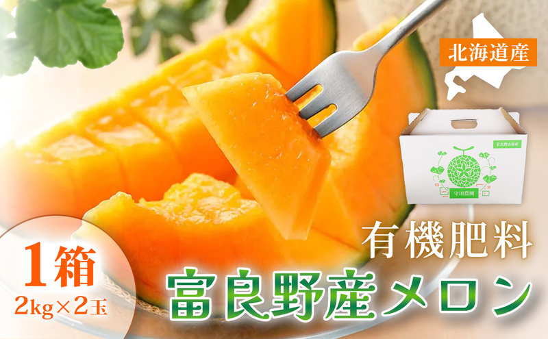 【糖度15度以上 赤肉メロン】富良野産 特秀品メロン 2kg×2玉 1箱｜北海道富良野市 7～8月発送 贈答用 ギフト プレゼント メロン 赤肉メロン 富良野メロン 果物 フルーツ とろける甘さ 夏季限定 旬の味覚 芳醇な香り