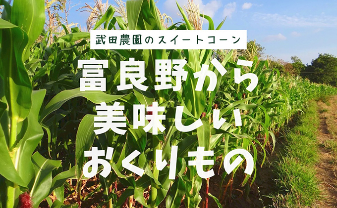 ［武田農園とれたて直送］スイートコーン わくわくコーン 2L 10本 みずみずしく抜群にあまい！北海道 富良野産 (とうもろこし 野菜 新鮮 とうきび 甘い 産地直送 先行予約 限定)