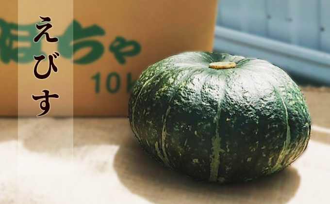 ③北海道産雪化粧かぼちゃの種 10粒+2粒