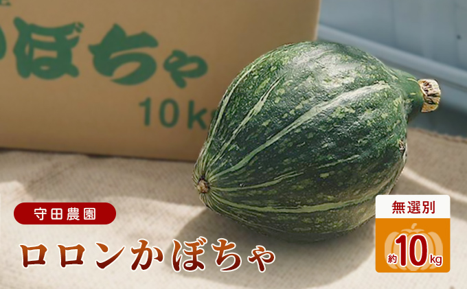 ふるさと納税 LED水耕栽培 香味野菜 パクチー 250g 愛媛県鬼北町 高級品市場