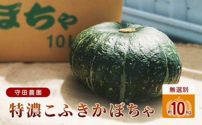 最新発見 ふるさと納税 本場鹿児島 さつまいも 6kg 桜山ファームAA-445 鹿児島県枕崎市 highartegypt.com