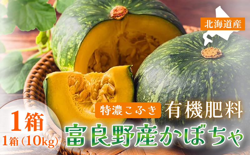 【秋の味覚 北海道産 カボチャ】特濃こふき 無選別 10kg×1箱｜北海道富良野市 9～10月発送 野菜 しっとり ホクホク 濃厚 甘い 濃橙果肉 黒皮カボチャ かぼちゃ こふきかぼちゃ 南瓜 料理用 煮物 贈答用 ギフト