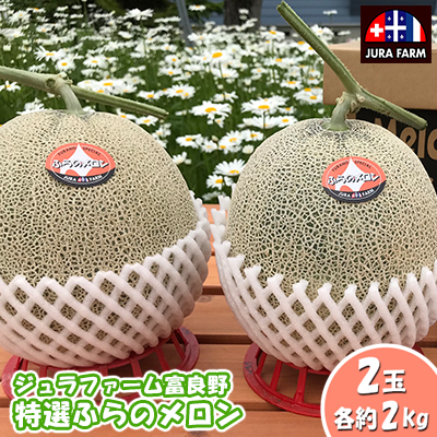 【2026年6月下旬～発送】特選 ふらの メロン 2玉 計約4kg 北海道 富良野市 赤肉メロン (ジュラファーム富良野) メロン フルーツ 果物 新鮮 甘い 贈り物 ギフト 道産 ジューシー おやつ ふらの ブランド 夏