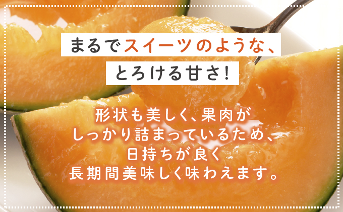 【2025年6月下旬～発送】ふらの 赤肉 メロン 1玉入 約1.7kg～2kg 北海道 富良野市 (相馬農園) メロン フルーツ 果物 新鮮 甘い 贈り物 ギフト 道産 ジューシー おやつ ふらの ブランド 夏 