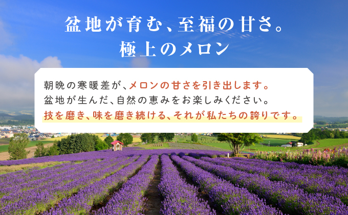 【2025年6月下旬～発送】ふらの 赤肉 メロン 1玉入 約1.7kg～2kg 北海道 富良野市 (相馬農園) メロン フルーツ 果物 新鮮 甘い 贈り物 ギフト 道産 ジューシー おやつ ふらの ブランド 夏 