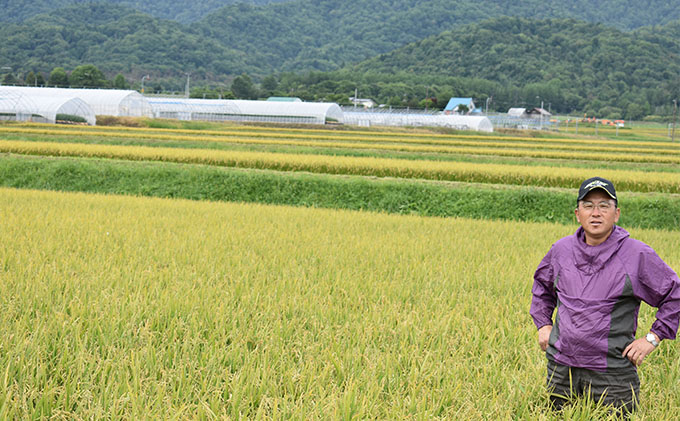 【令和6年度産】◆3ヵ月定期便◆ 富良野 山部米研究会【 ゆめぴりか 】無洗米  5kg×2袋（10kg）お米 米 ご飯 ごはん 白米 定期 送料無料 北海道 富良野市 道産 直送 ふらの