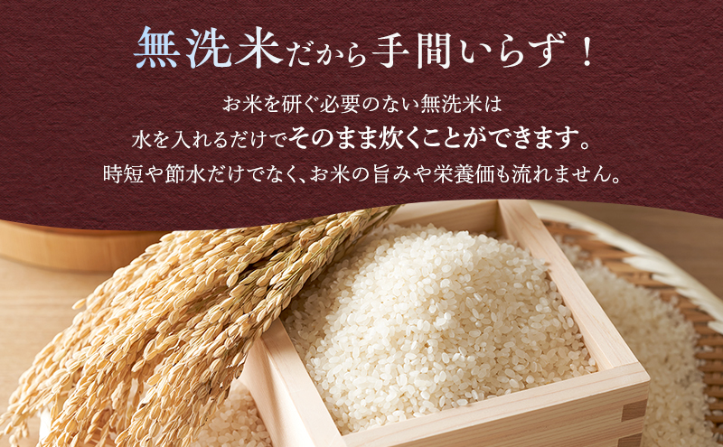 【令和6年度産】◆6ヵ月定期便◆ 富良野 山部米研究会【 ななつぼし 】無洗米 5kgお米 米 ご飯 ごはん 白米 定期 送料無料 北海道 富良野市 道産 直送 ふらの