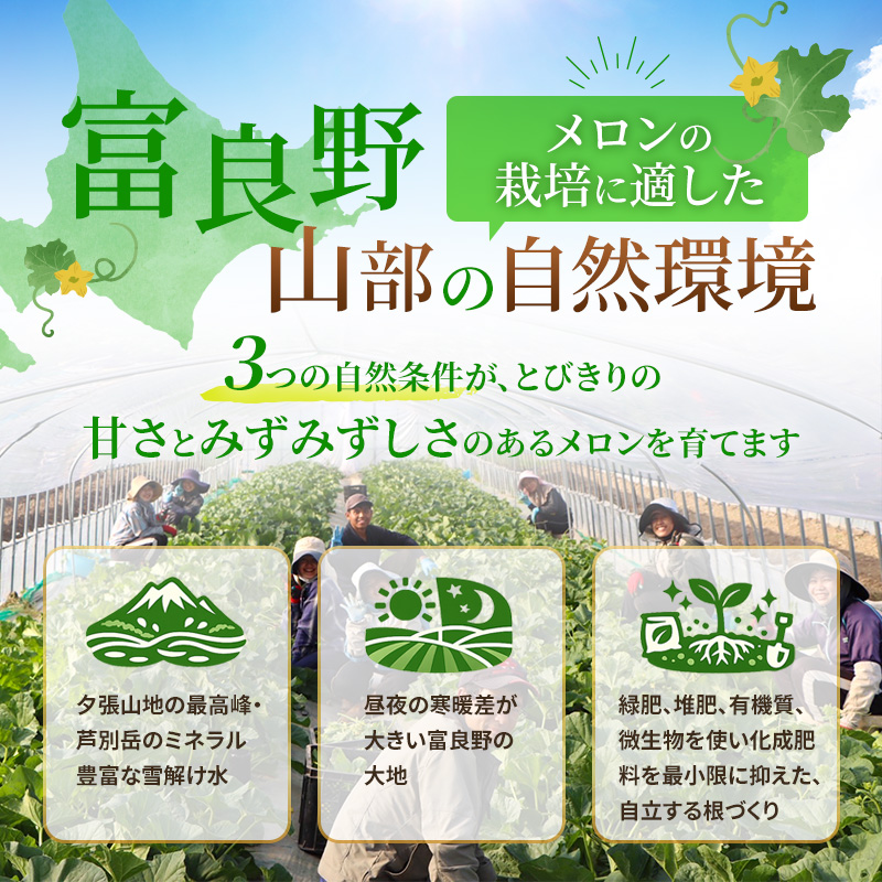 【2026年夏発送】〈桐箱入〉富良野メロン 山部の絶品『鳳凰』3L 2玉 計4kg以上 メロン 大玉 赤肉 北海道
