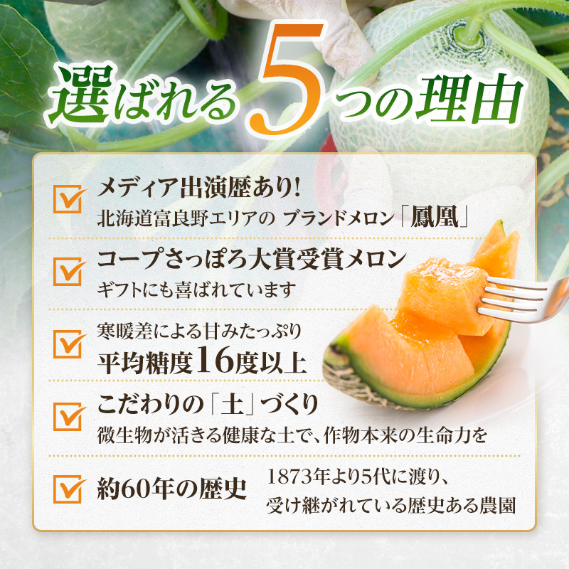 【2026年夏発送】富良野メロン 山部の絶品『鳳凰』2L 2玉 計3.6kg以上 メロン 赤肉 大玉 北海道