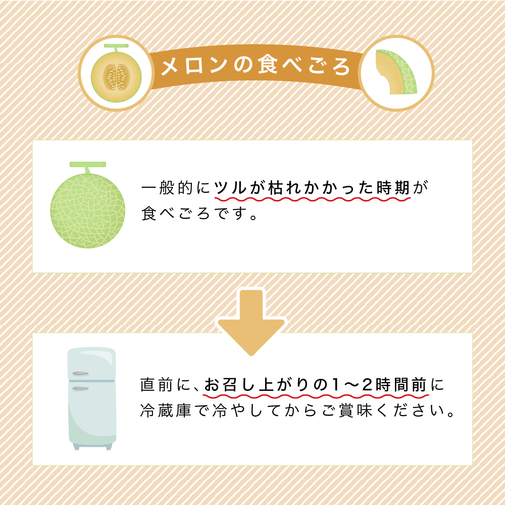 【2025年6月より順次発送】ふらの山部の絶品メロン『鳳凰』 2L（1.8～2kg）×2玉（坂口農産）メロン フルーツ 果物 新鮮 甘い 贈り物 ギフト 道産 ジューシー おやつ ふらの ブランド 夏 