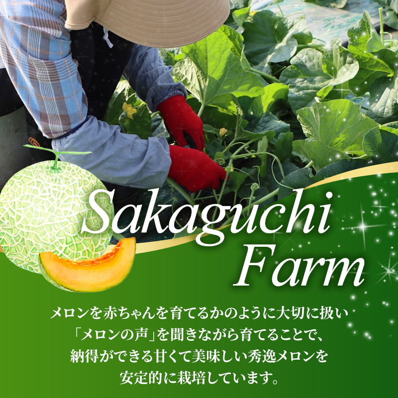 【2026年夏発送】富良野メロン 山部の絶品『鳳凰』2L 2玉 計3.6kg以上 メロン 赤肉 大玉 北海道