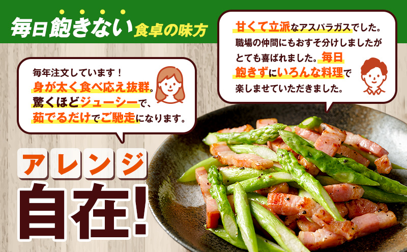 【2026年5月発送】北海道 富良野産 露地 グリーン アスパラ Lサイズ約1kg 野菜 アスパラガス