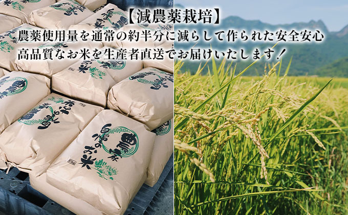 【令和5年度新米】北海道 富良野産 おぼろづき 減農薬 10kg 新米 米 (山本農園) お米 ご飯 ごはん 白米 定期 送料無料 北海道 富良野市 道産 直送 ふらの