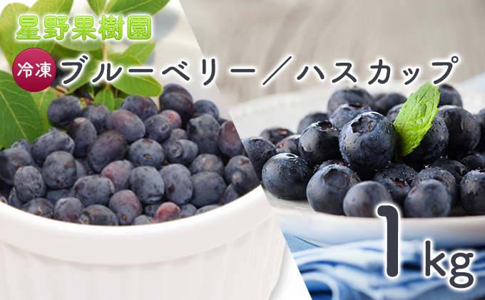 限定20％OFF北海道産　自然栽培の冷凍ハスカップ3kg(250g×12袋) フルーツ