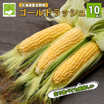 【2026年夏発送】とうもろこし ゴールドラッシュ 10本 北海道 富良野産 とうきび コーン