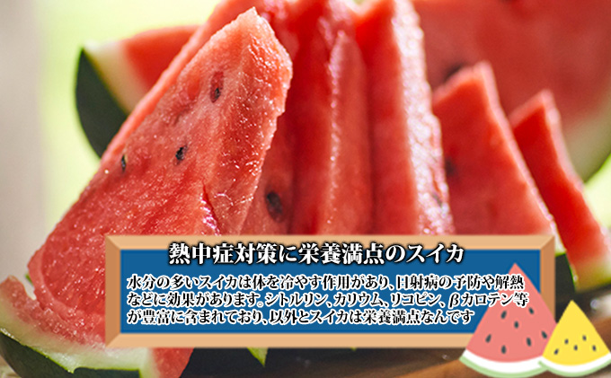 【2024年7月～発送】すいか 約5kg 北海道 富良野市 (スイートベジタブルファクトリー) フルーツ 果物 新鮮 甘い 贈り物 ギフト 道産 おやつ デザート ふらの ブランド 夏 