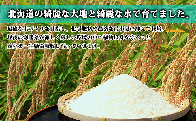 【北海道富良野産】令和6年産 ゆめぴりか 10kg  (お米 米 ご飯 ごはん 白米 定期 送料無料 北海道 富良野市 道産 直送 ふらの)