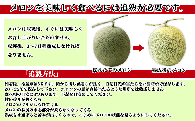 【2025年7月下旬～発送】※訳あり※ 富良野 メロン 約4kg〈2玉～4玉入り〉北海道 富良野市(スイートベジタブルファクトリー) メロン フルーツ 果物 新鮮 甘い 贈り物 ギフト 道産 ジューシー おやつ ふらの ブランド 夏