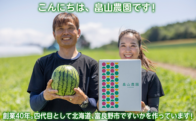 富良野産 大玉スイカ 2L（7kg～）1玉【夏大地】|JALふるさと納税|JALの