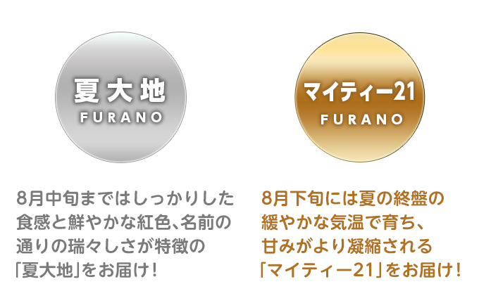 【別送】富良野産 大玉 スイカ 食べくらべ！2L 各1玉【夏大地・マイティ21】 北海道 富良野