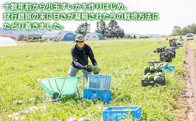 【別送】富良野産 大玉 スイカ 食べくらべ！2L 各1玉【夏大地・マイティ21】 北海道 富良野