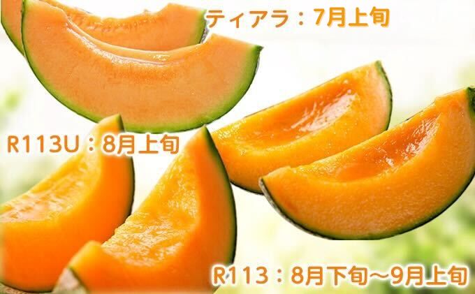 【2026年7～9月連続お届け】3品種 ふらの メロン 定期便 ≪計3玉≫ 北海道 富良野市 (高見農園) メロン フルーツ 果物 新鮮 甘い 贈り物 ギフト 道産 ジューシー おやつ ふらの ブランド 夏 