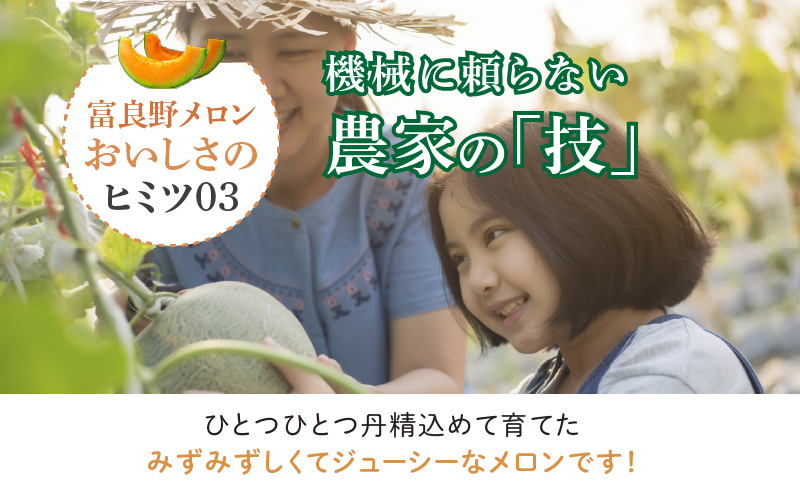 【2026年夏発送】※訳あり 富良野 メロン 約8kg 〈3玉～8玉入り〉メロン フルーツ 果物