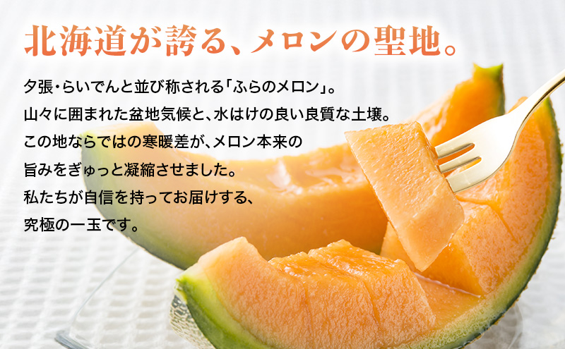 【2026年7月上旬～発送】ふらの 赤肉 メロン 2玉 計4kg以上 北海道 富良野市（高見農園）メロン フルーツ 果物 新鮮 甘い 贈り物 ギフト 道産 ジューシー おやつ ふらの ブランド 夏 