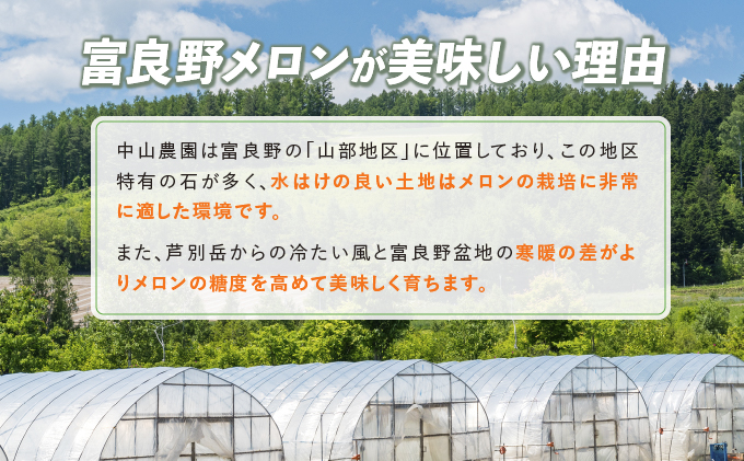 【2025年夏発送】北海道 富良野産 赤肉メロン 4～6玉 大箱8kg (中山農園) メロン フルーツ 果物 新鮮 甘い 贈り物 ギフト 道産 ジューシー おやつ ふらの ブランド 夏 