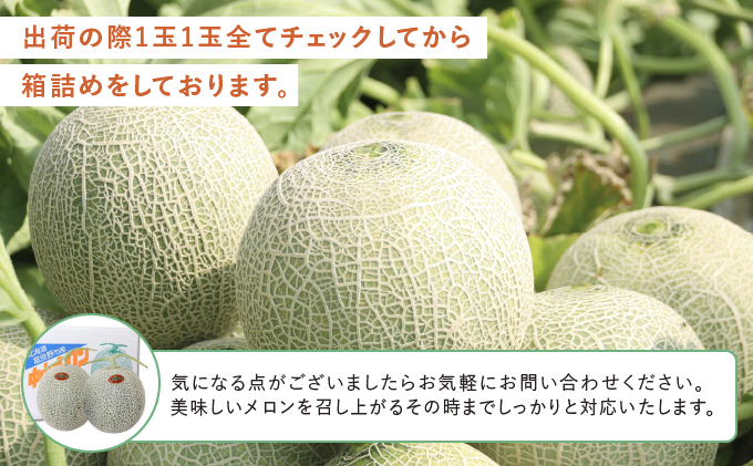 【2025年夏発送】北海道 富良野産 赤肉メロン 4～6玉 大箱8kg (中山農園) メロン フルーツ 果物 新鮮 甘い 贈り物 ギフト 道産 ジューシー おやつ ふらの ブランド 夏 