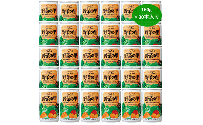 【 3ヵ月 定期便 】ふらの 野菜の里 160g×30本入　野菜 果物 ミックスジュース (ジュース 野菜ジュース 飲み物 缶 北海道 送料無料 道産 富良野市 ふらの)