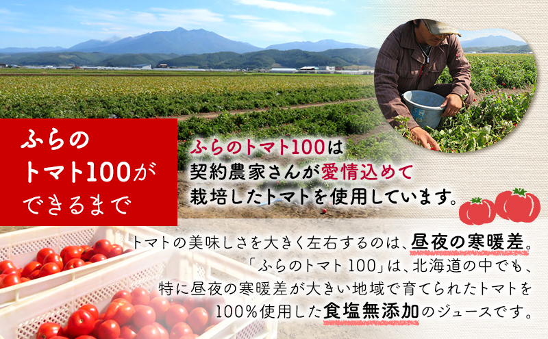 【 3ヵ月 定期便 】ふらの トマト100 160g×30本入　野菜  ジュース  (ジュース 野菜ジュース 飲み物 缶 北海道 送料無料 道産 富良野市 ふらの)