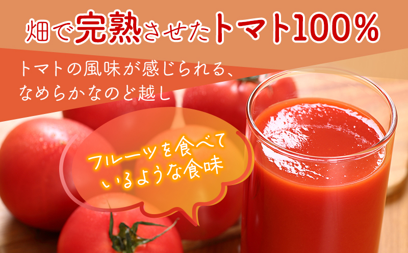 【 6ヵ月 定期便 】ふらの トマト100 160g×30本入　野菜  ジュース  (ジュース 野菜ジュース 飲み物 缶 北海道 送料無料 道産 富良野市 ふらの)